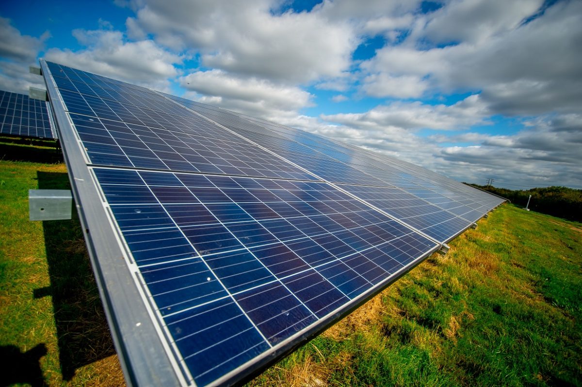 Paneles solares limpios y alineados en una planta fotovoltaica, reflejando la eficiencia y el mantenimiento profesional realizado por SolarShine.